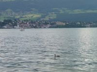 image10