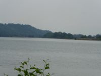 C44FEBF5 89DF 4062 BEDB F69DD107C4EB