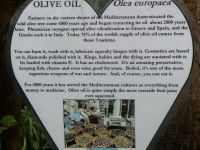 P1010248