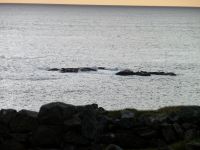 P1010526