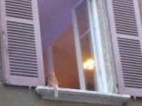 image10