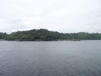 P1010545