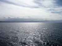 P1010553
