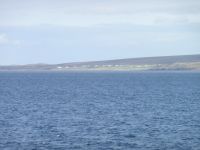 P1010560