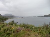 P1010582