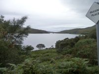 P1010594