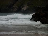 P1010736