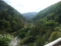 image10
