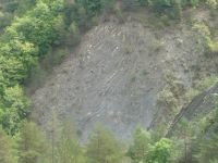 image10