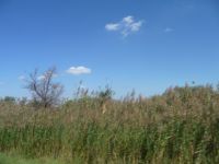 image10