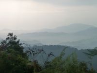 image10