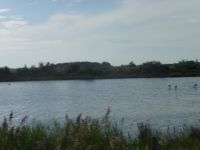 image4