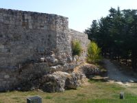 image10