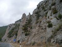 image8