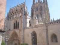 image8
