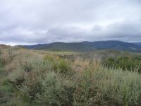 image6