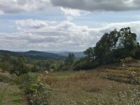 image10