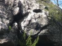 image10
