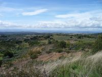image6