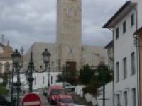 image8
