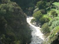 image10