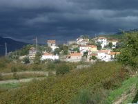 image10