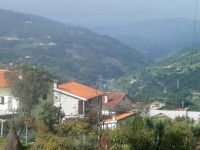 image10