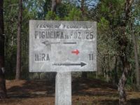 image10